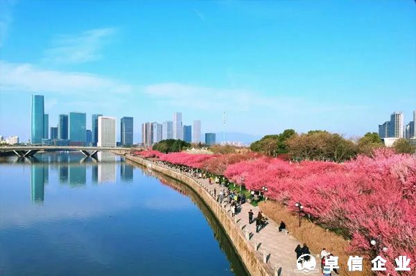 注冊義烏個(gè)體戶怎樣突破個(gè)人五萬金額結(jié)匯