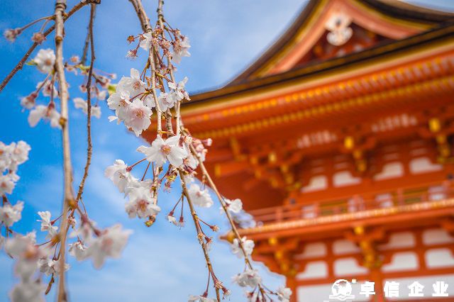 布局日本：設(shè)立子公司的關(guān)鍵注意事項(xiàng)
