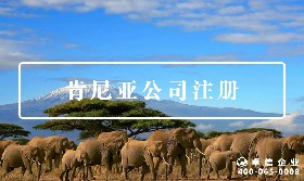 肯尼亞公司